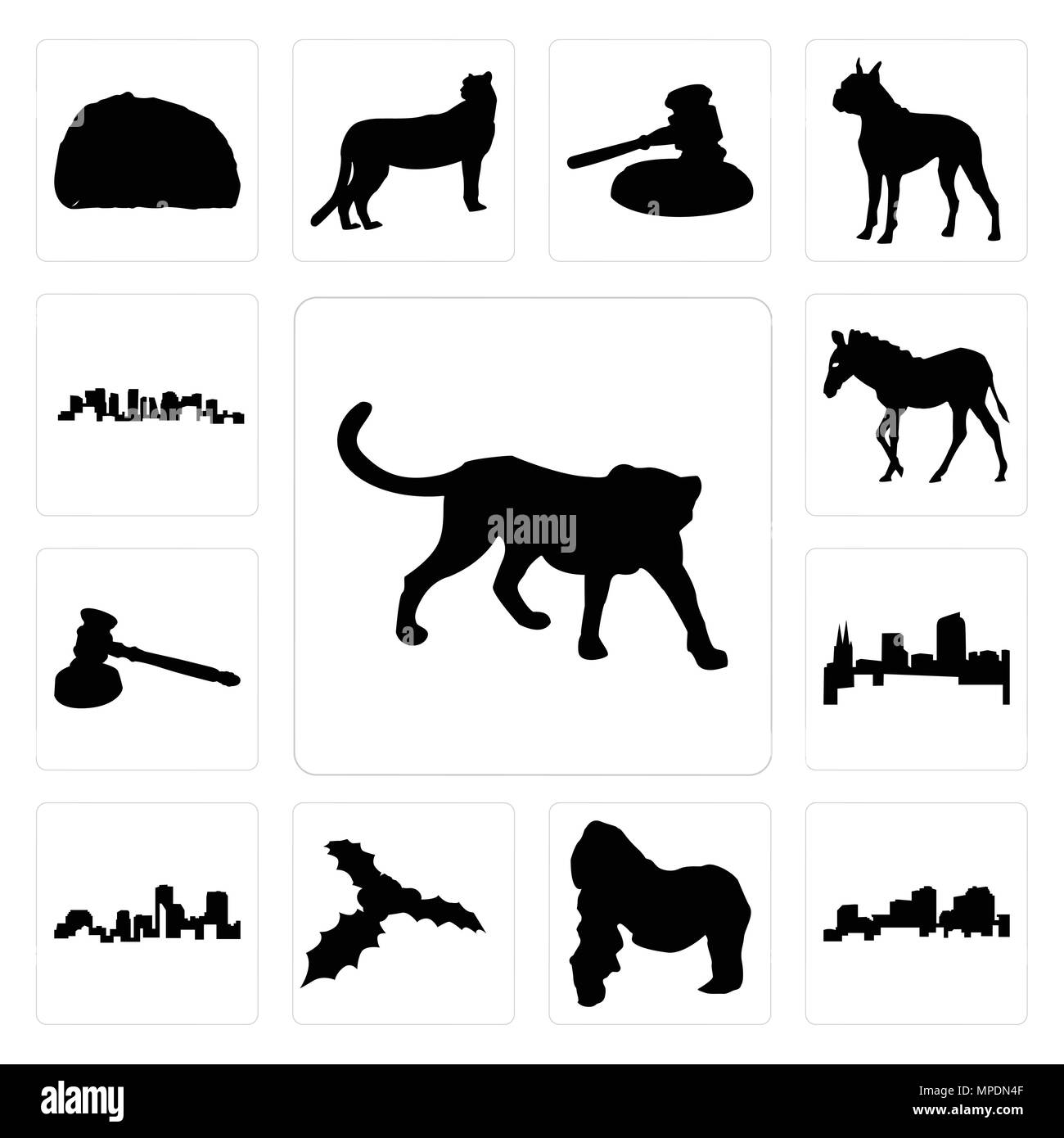 Set di 13 semplici icone modificabile come contorno ghepardo su sfondo bianco, Louisiana gorilla vischio sfondo può essere utilizzato per il mobile, l'interfaccia utente web Illustrazione Vettoriale