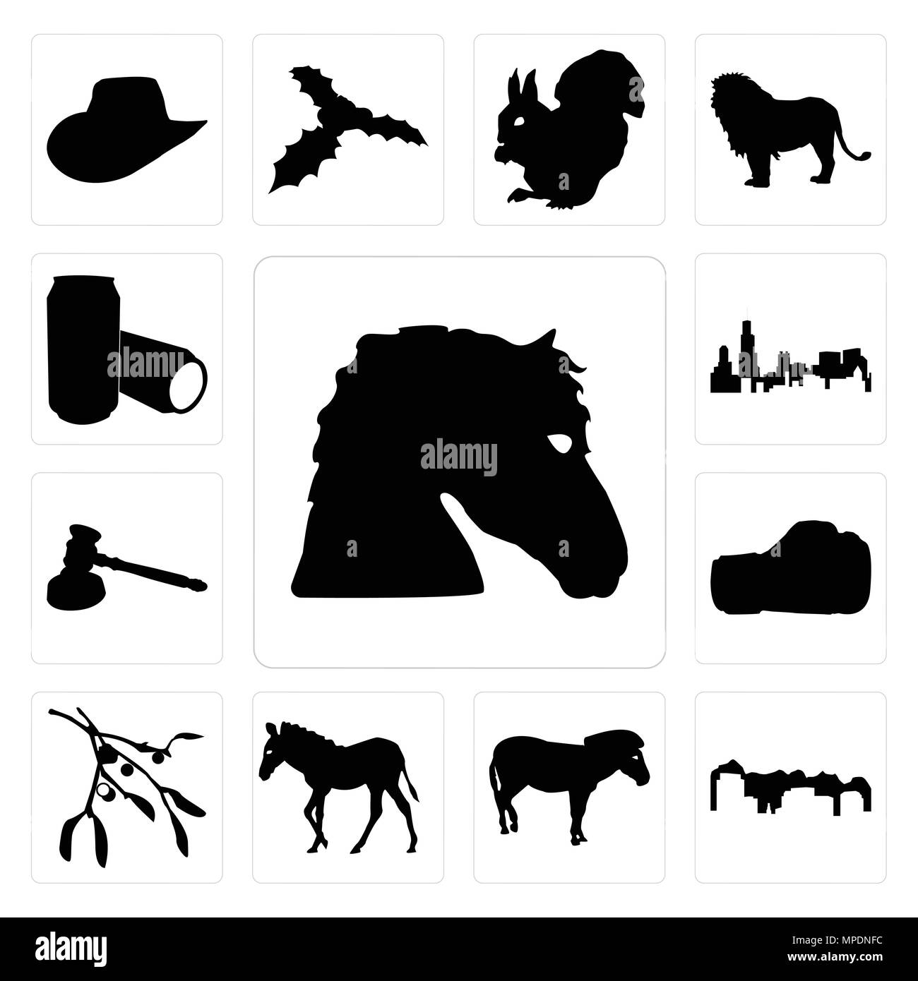 Set di 13 semplici icone modificabile come cavallo di contorno viso su sfondo bianco, Utah, zebra sfondo può essere utilizzato per il mobile, l'interfaccia utente web Illustrazione Vettoriale