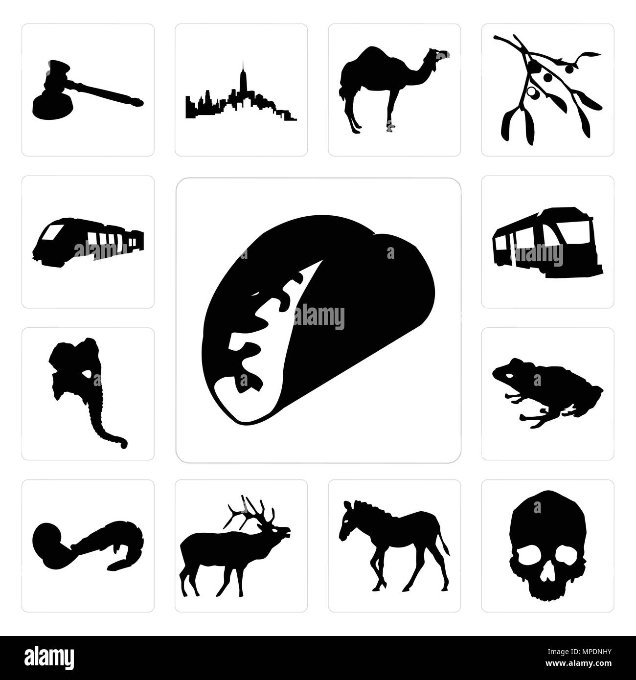 Set di 13 semplici icone modificabile come contorno taco su sfondo bianco, cranio zebra sfondo può essere utilizzato per il mobile, l'interfaccia utente web Illustrazione Vettoriale