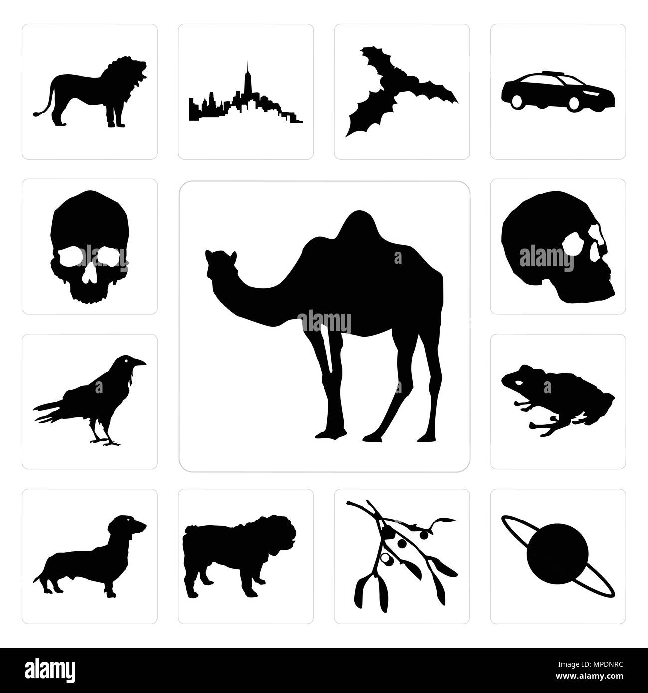 Set di 13 semplici icone modificabile come contorno del cammello su sfondo bianco, Saturno vischio sfondo può essere utilizzato per il mobile, l'interfaccia utente web Illustrazione Vettoriale