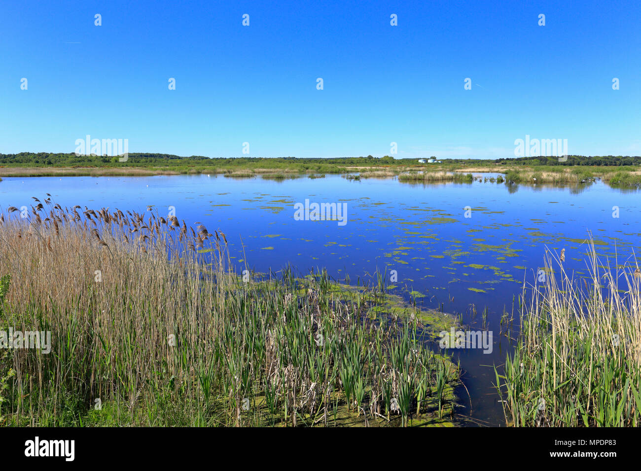 RSPB reserve St Aidan è vicino a Leeds, West Yorkshire, Inghilterra, Regno Unito. Foto Stock