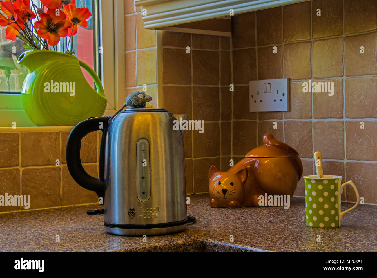 Gatto in ceramica & mouse in cucina Foto Stock