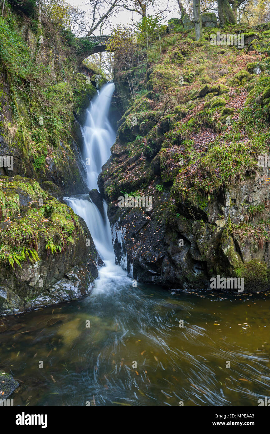 Aira Force cascata, Parco Nazionale del Distretto dei Laghi, Cumbria, England, Regno Unito, Europa Foto Stock