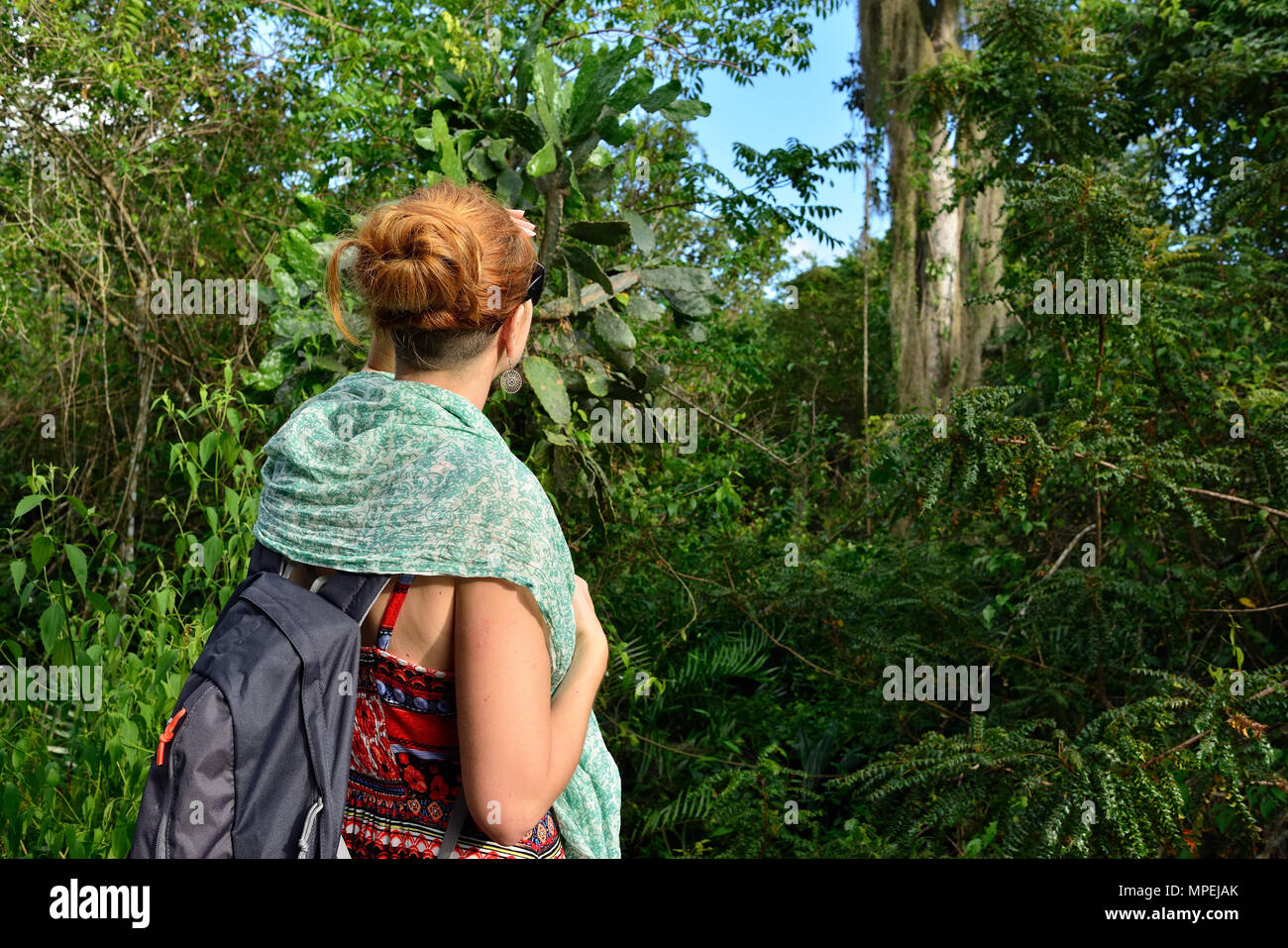 Turismo rilassante sul trekking nella giungla sulla Repubblica Dominicana. Foresta Del Este parco nazionale vicino alla capitale Santo Domingo Foto Stock