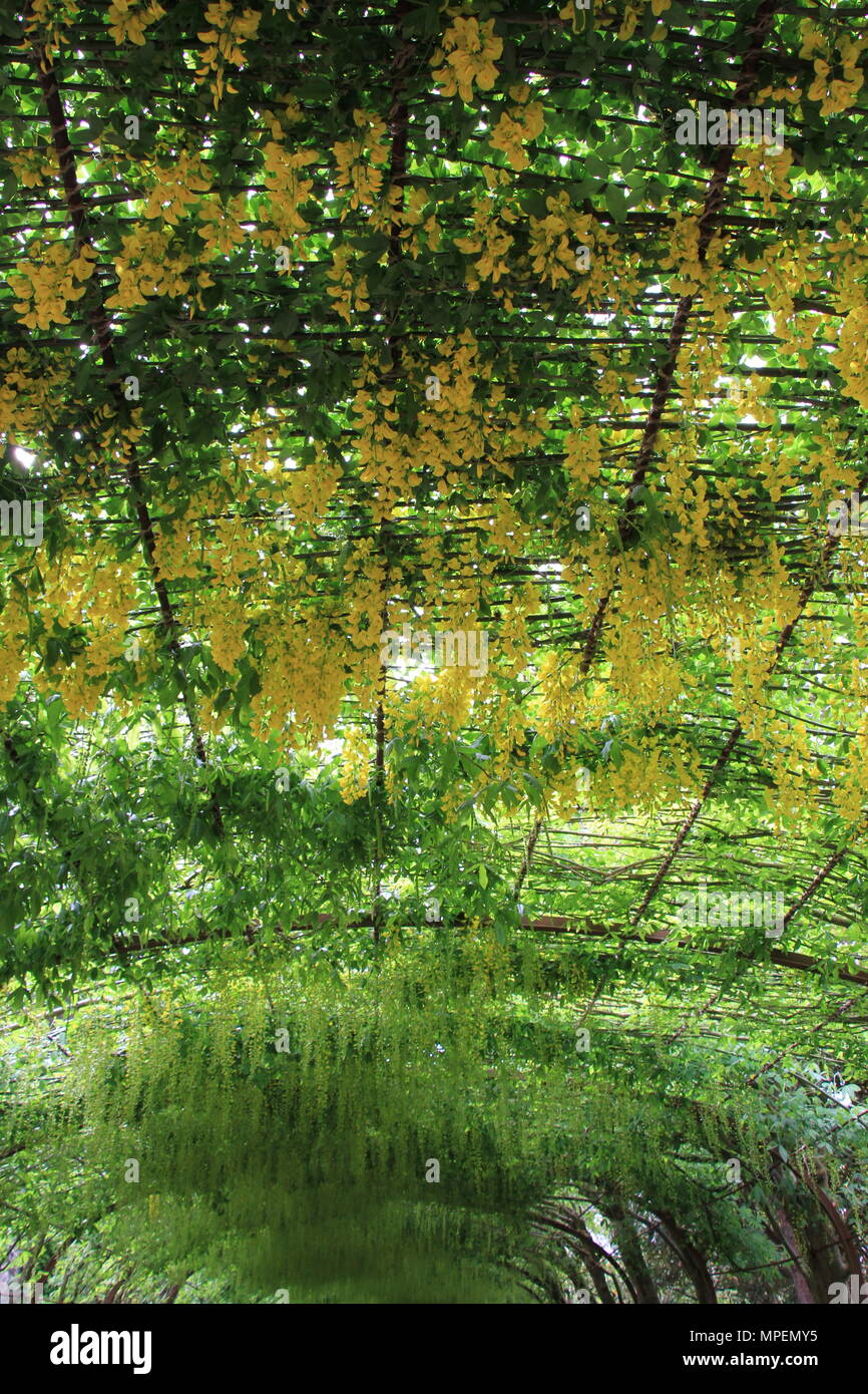 Giardini di Bodnant Foto Stock