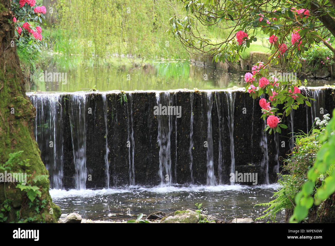 Giardini di Bodnant Foto Stock