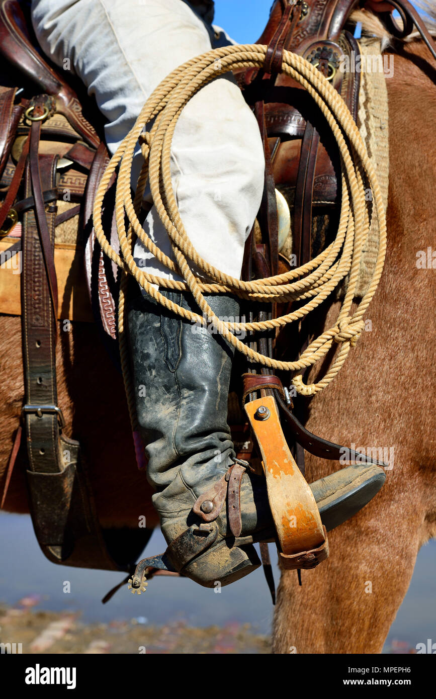 Cowboy in sella al cavallo, con lazo, western stivali, speroni, Stockyards  National Historic District, Fort Worth, Texas, Stati Uniti d'America Foto  stock - Alamy