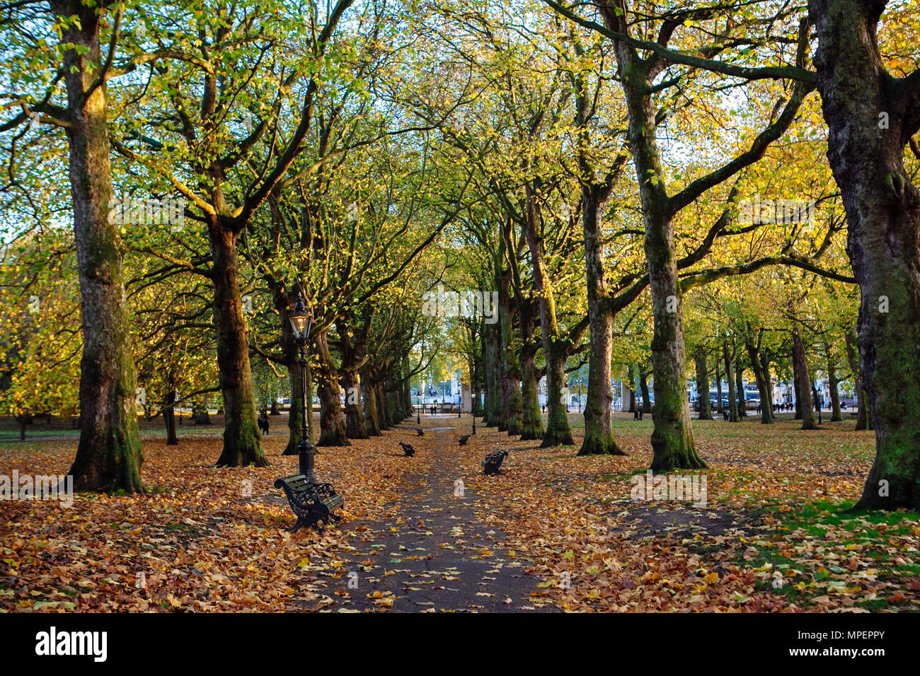 Il percorso verso il basso un London park parzialmente coperto di foglie di autunno. Foto Stock