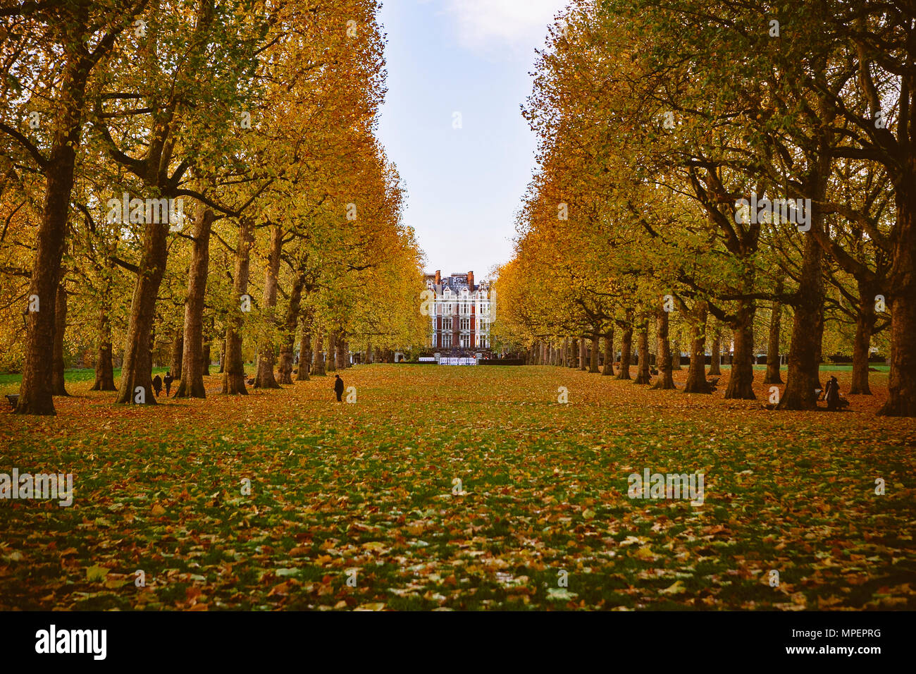 Il percorso verso il basso un London park parzialmente coperto di foglie di autunno. Foto Stock