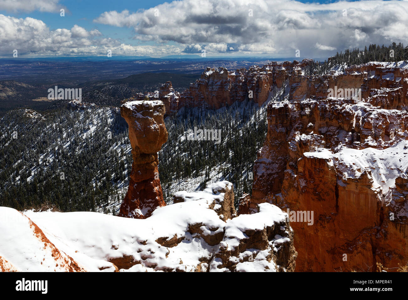 Parco Nazionale di Bryce Canyon, Utah, USA la neve fresca Foto Stock