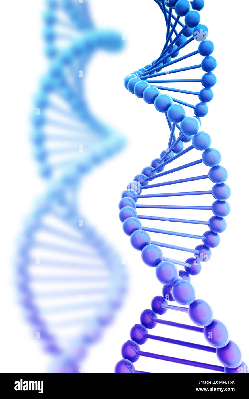 Elica di DNA isolato di sfondo su bianco 3D illustrazione Foto Stock