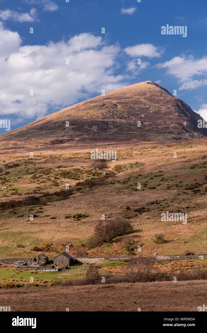 Montagne e brughiere a Capel Curig, Snowdonia, il Galles del Nord su una luminosa giornata di sole Foto Stock