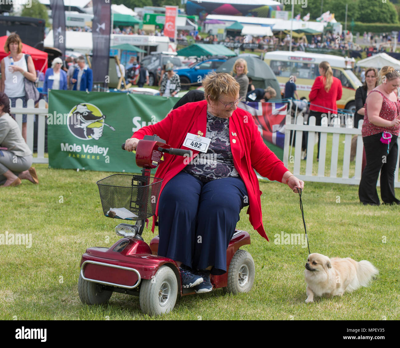 Signora disabili in carrozzella prendendo parte a dog show Foto Stock