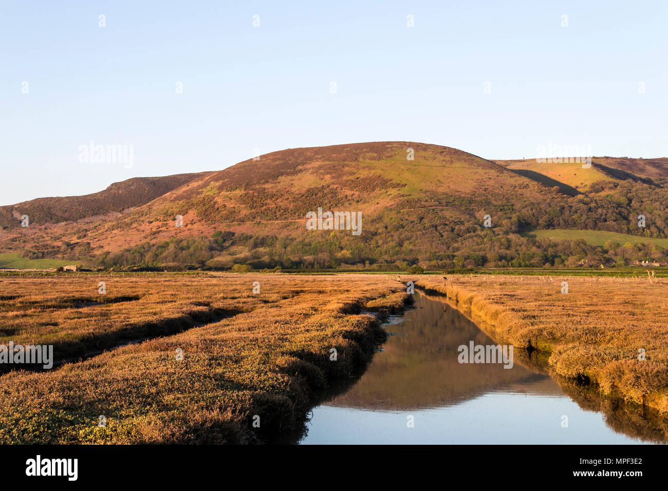 Bossington Hill visto dalla palude Porlock sulla costa sud ovest percorso, Parco Nazionale di Exmoor, Porlock, Somerset, Regno Unito Foto Stock