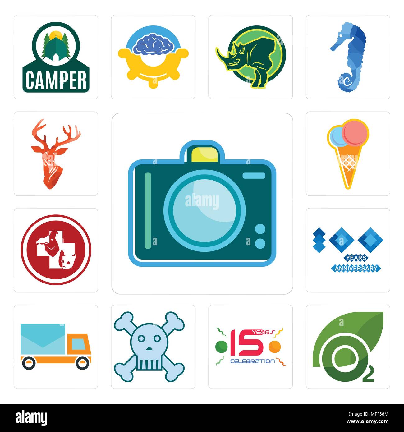 Set di 13 semplici icone modificabile come dslr, ossigeno, 15 anni celebrazione, Teschio e Ossa Croce, posto auto, 100° anniversario, medicina veterinaria, Illustrazione Vettoriale