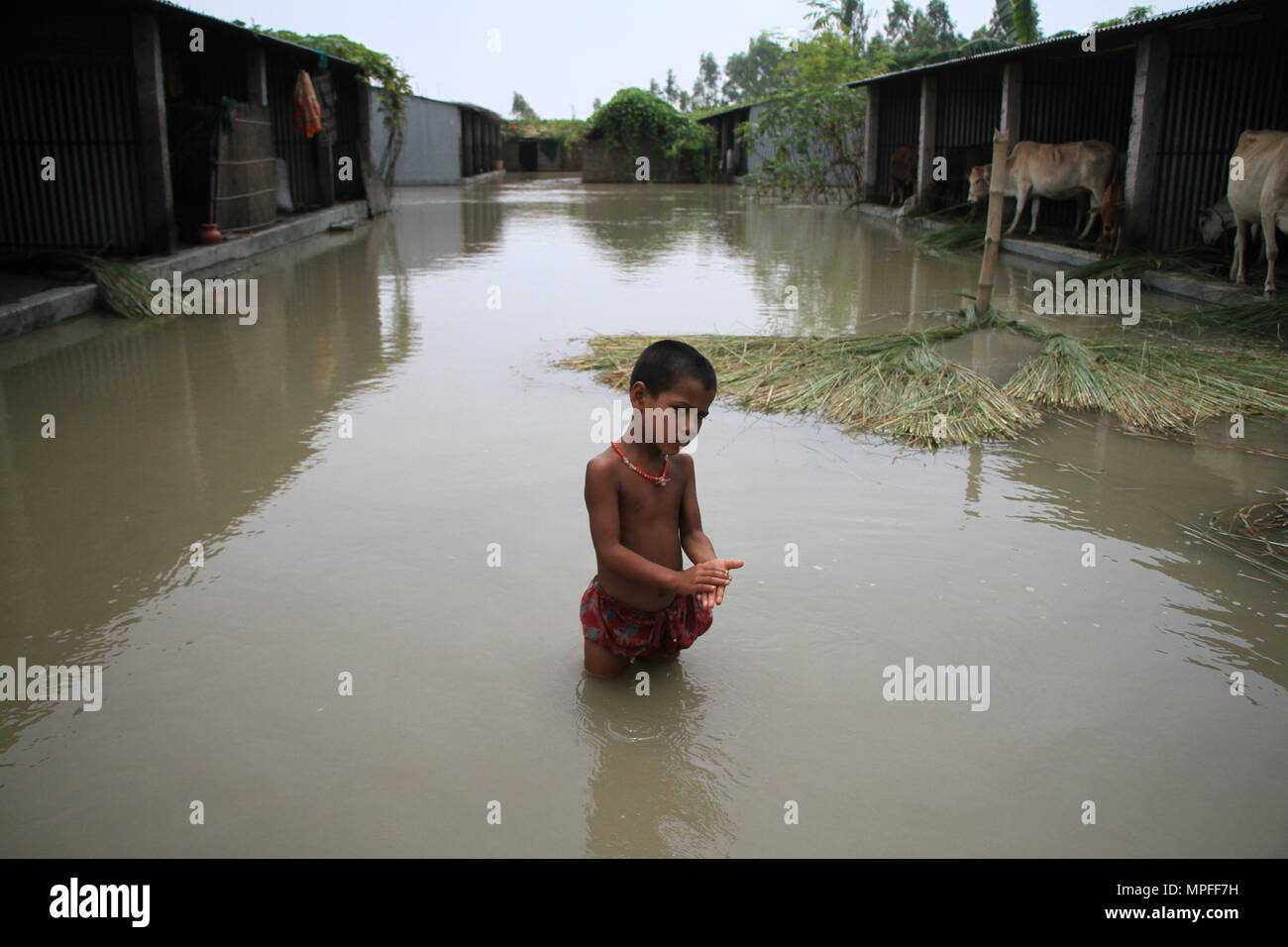 Bangladesh. Colpite dalle alluvioni di persone in Bangladesh. Il Bangladesh ha subito allagamenti ogni anno a causa di devastanti piogge monsoniche, flash-alluvione e aumento della temperatura mondiale come snowmelt dall'Himalaya. Milioni di persone sono colpite e molti uccisi durante l'alluvione in questo paese. Le persone che soffrono di carenze di cibo, acqua potabile pura, malattie e molti di loro la perdita delle loro case, bovini, colture e passano attraverso la disastrosa situazione durante e dopo le inondazioni. © Rehman Asad/Alamy Stock Photo Foto Stock