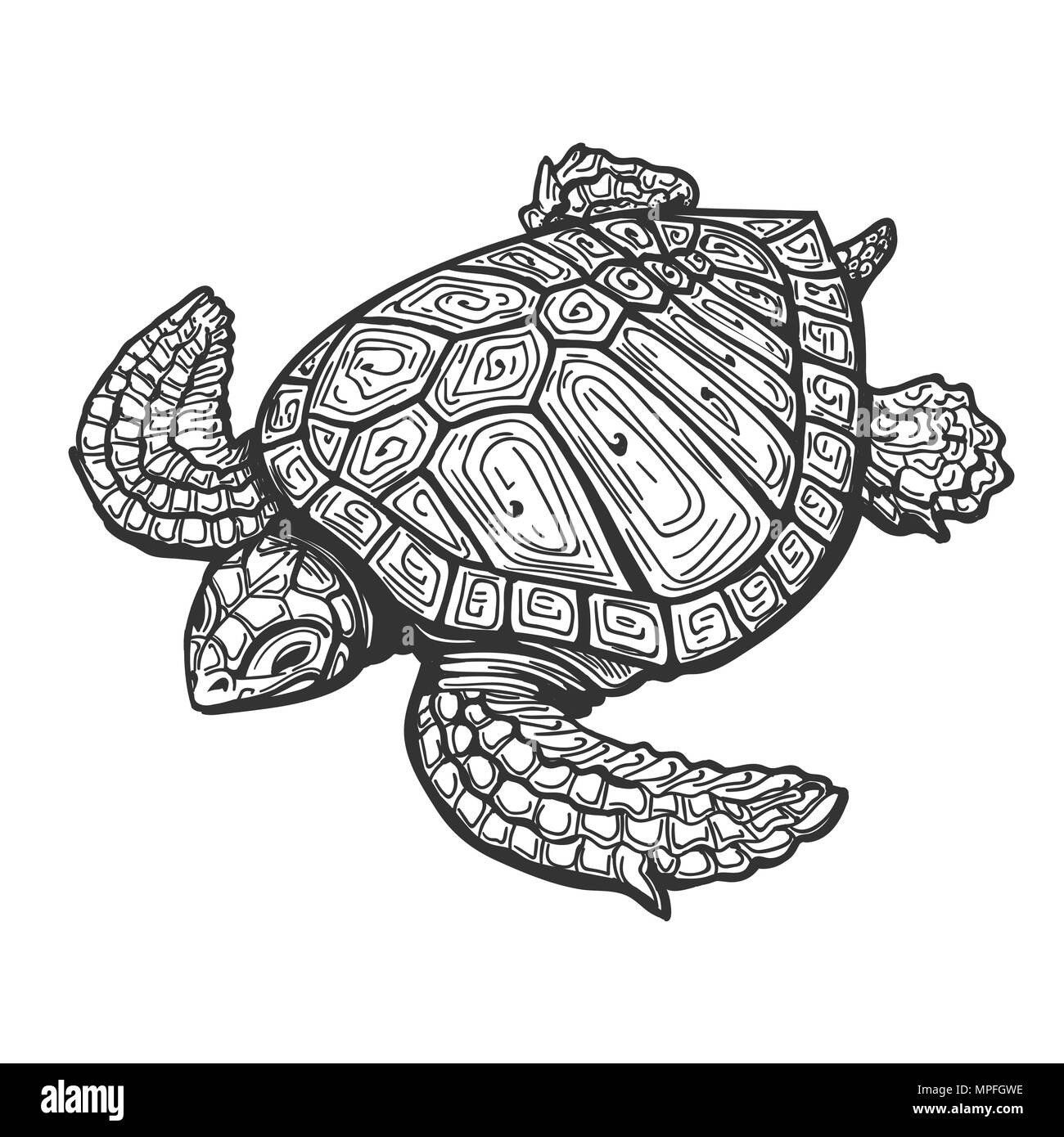 Tartaruga di mare disegnata in stile tatuaggio. Illustrazione Vettoriale Illustrazione Vettoriale