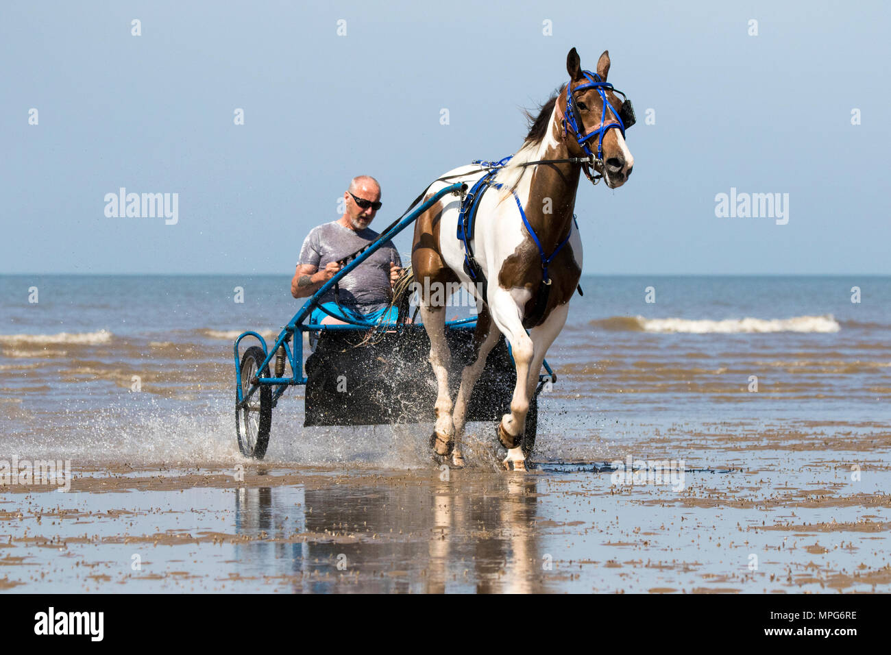 Carrello Jockey sulla spiaggia di Southport, Merseyside. Il 23 maggio 2018. Regno Unito Meteo. Bernard Perry è trainato nel suo carrello jockey o sulky dal suo amato 6 anno vecchio mare 'Trigger' lungo il litorale della marea sulla spiaggia di Southport nel Merseyside. Un sulky è un carrello leggero avente due ruote e un sedile per il conducente generalmente tirato da cavalli o cani, e viene utilizzato per il cablaggio delle gare. Credito: Cernan Elias/Alamy Live News Foto Stock
