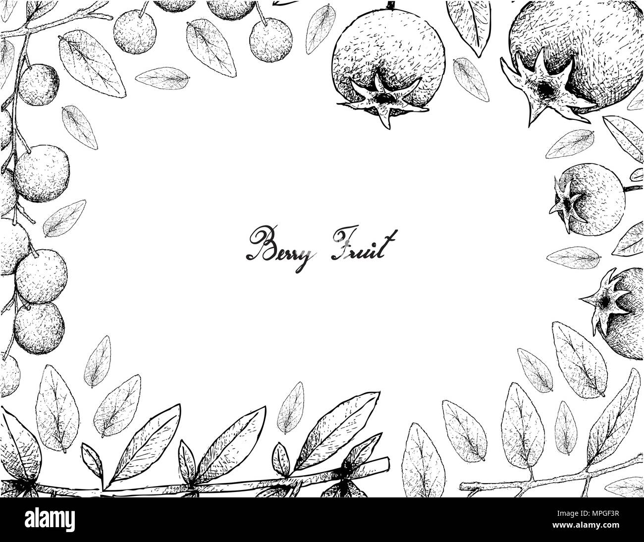 Frutti tropicali, illustrazione Telaio del lato Bozzetto cileno, Guava Fragola il mirto o Ugni Molinae frutti e bacche di amaro o Chokecherries ho Illustrazione Vettoriale