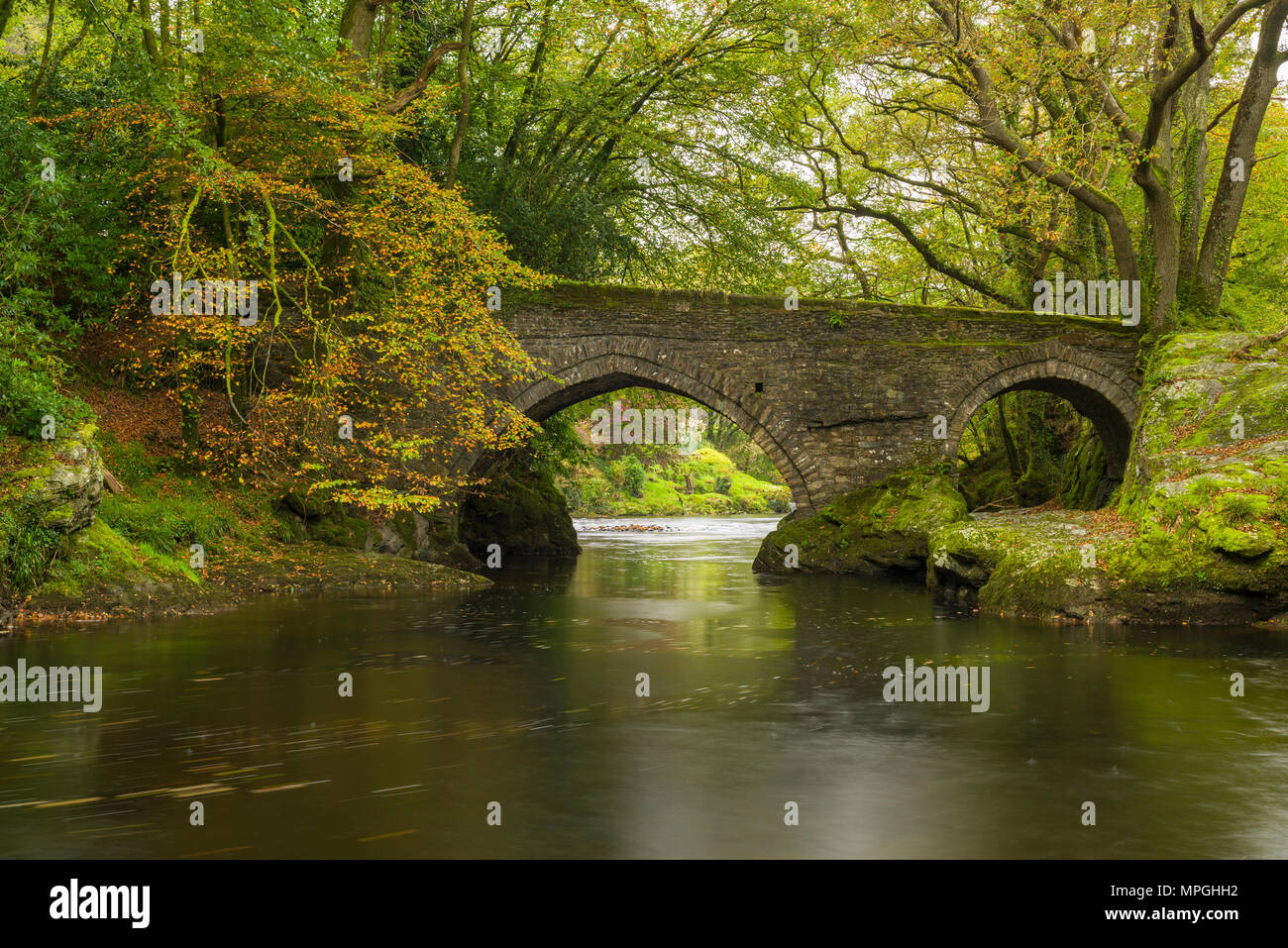 Denham ponte sopra il fiume Tavey vicino a Buckland Monachorum, Devon, Inghilterra. Foto Stock