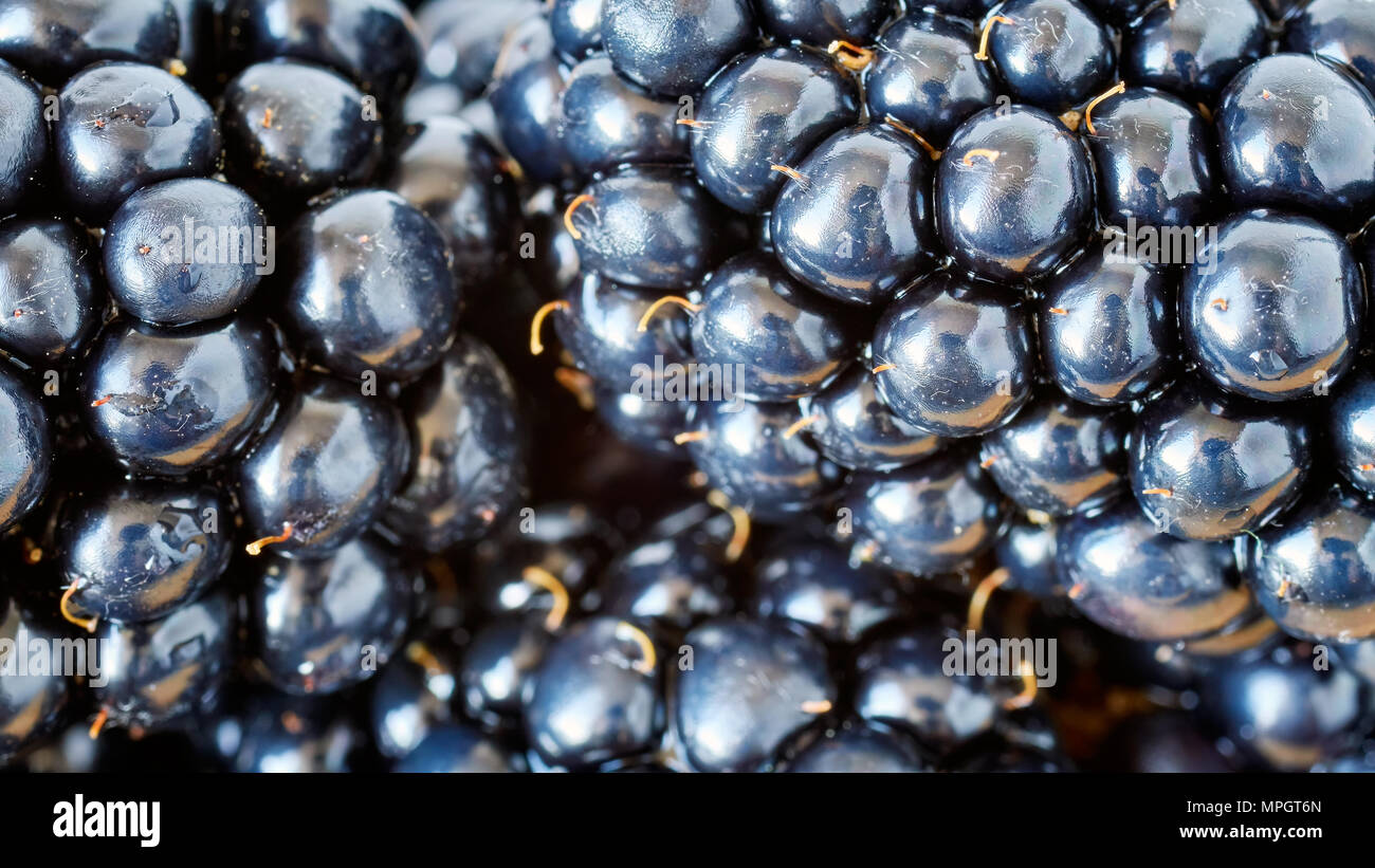 Extreme close up foto di more, profondità di campo. Foto Stock