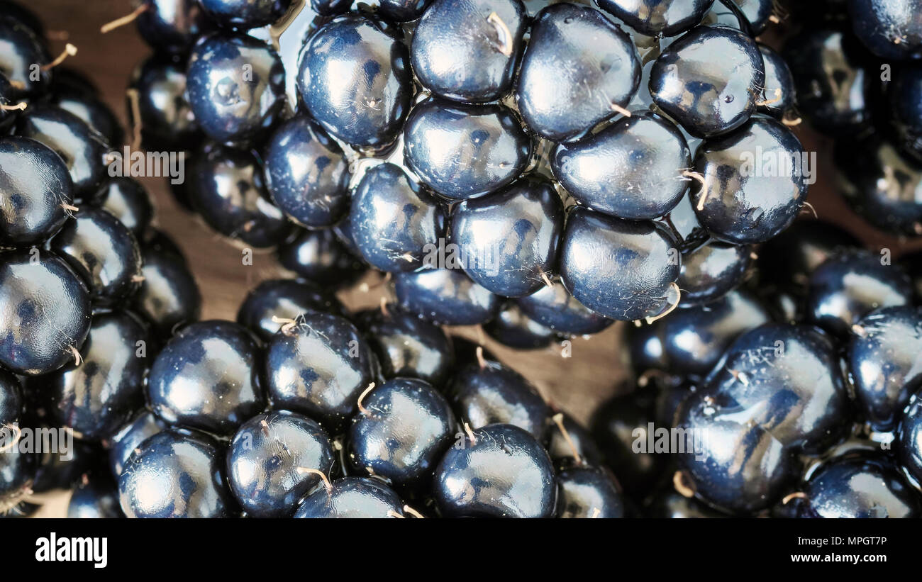 Extreme close up foto di more, profondità di campo. Foto Stock