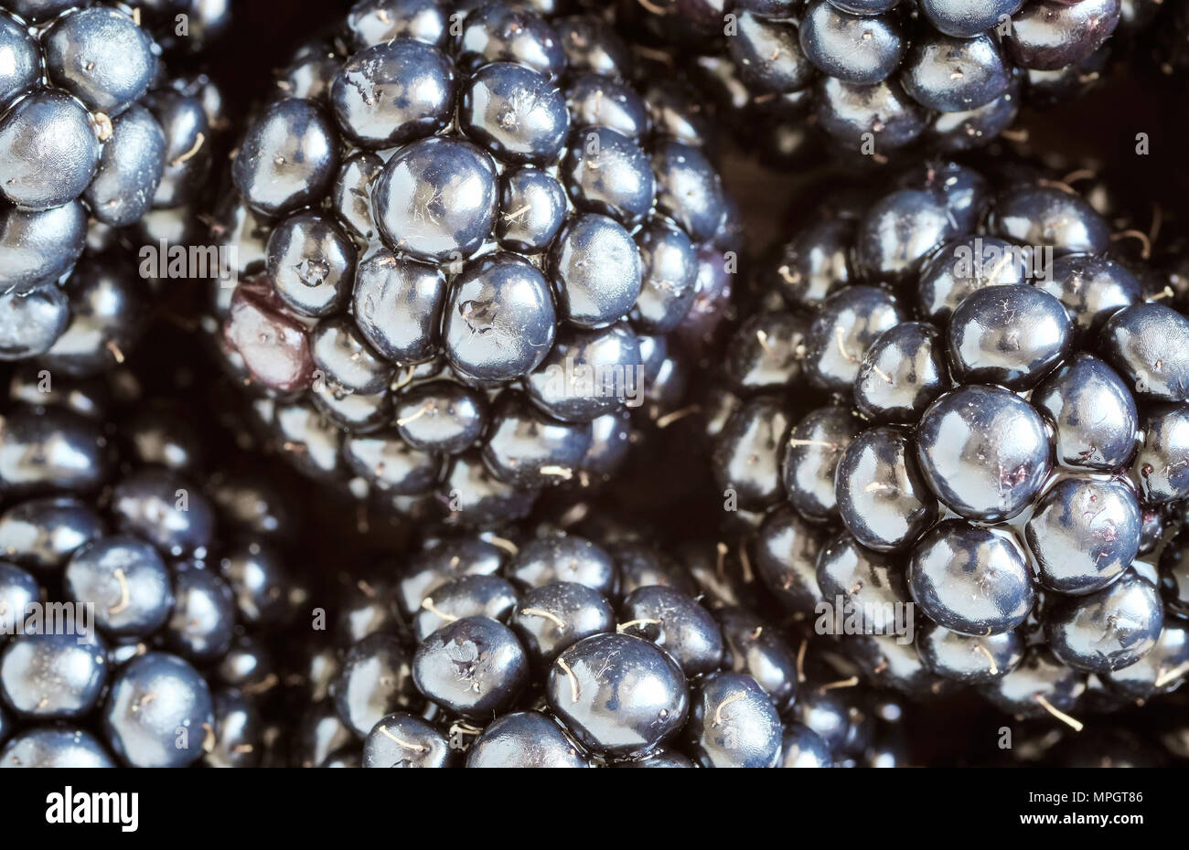 Extreme close up foto di more, profondità di campo. Foto Stock