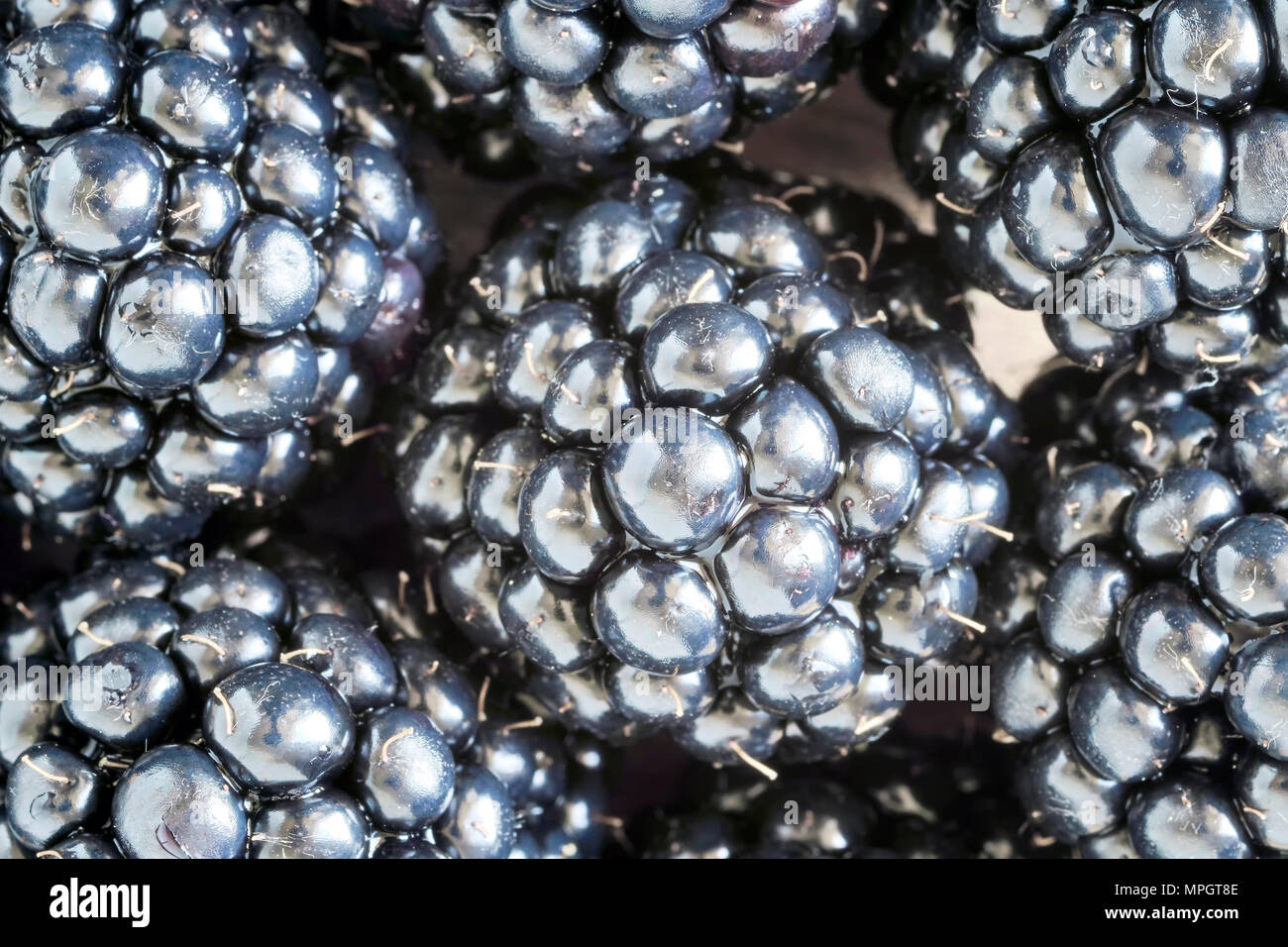 Extreme close up foto di more, profondità di campo. Foto Stock