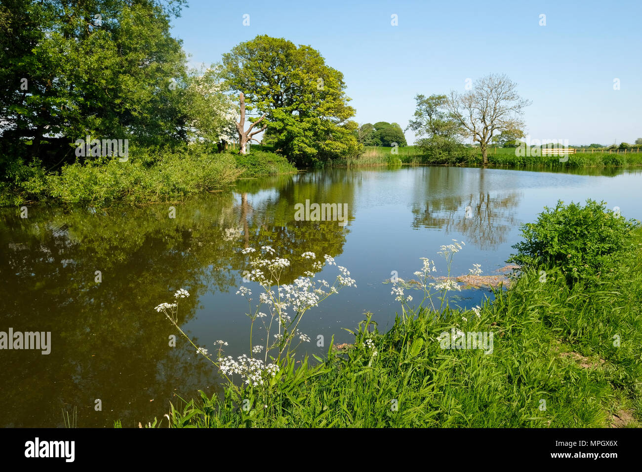 Vista del paesaggio di Lancaster Canal a Preston in Lancashire Foto Stock