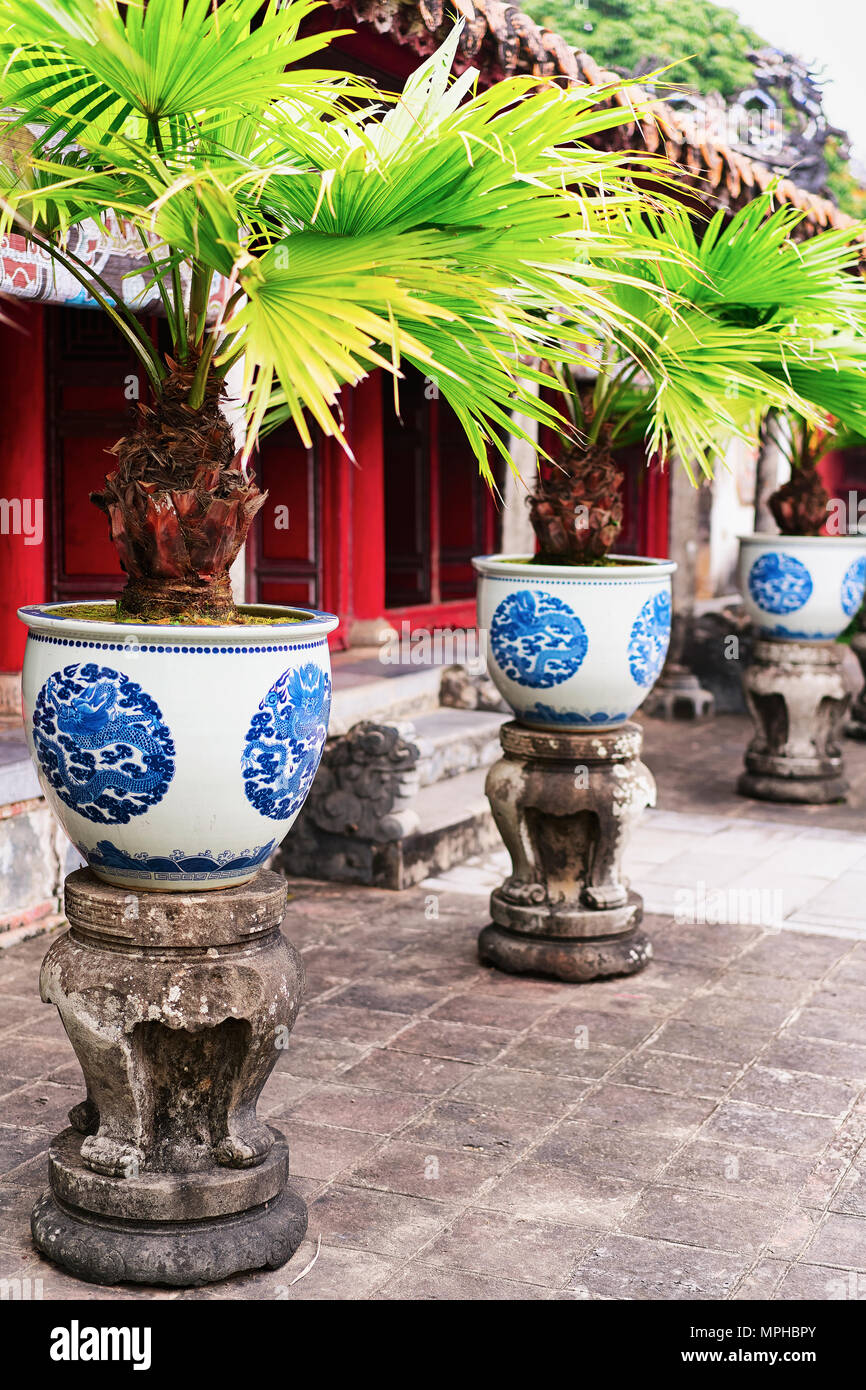 Le palme in vasi da fiori in città Emperial quello dei Kinh thanh in tinta, Vietnam Foto Stock