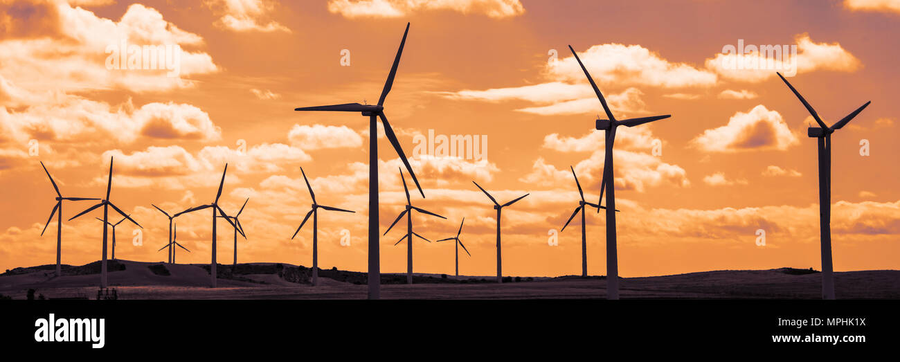 Turbina eolica campo al tramonto, drammatica sky Foto Stock