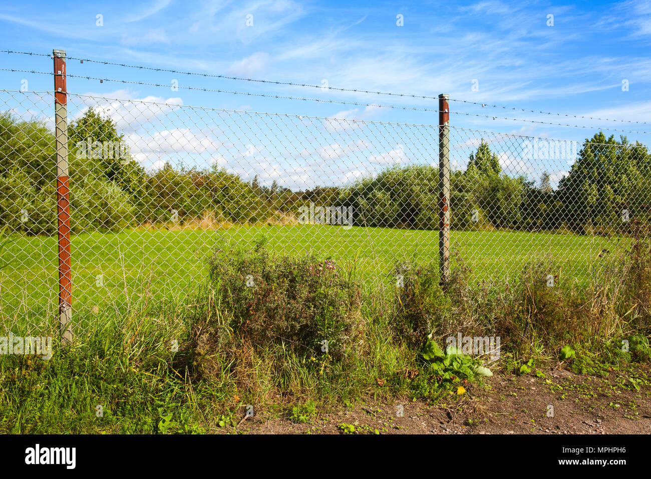 Estate rurale paesaggio finlandese con catena-link scherma Foto Stock