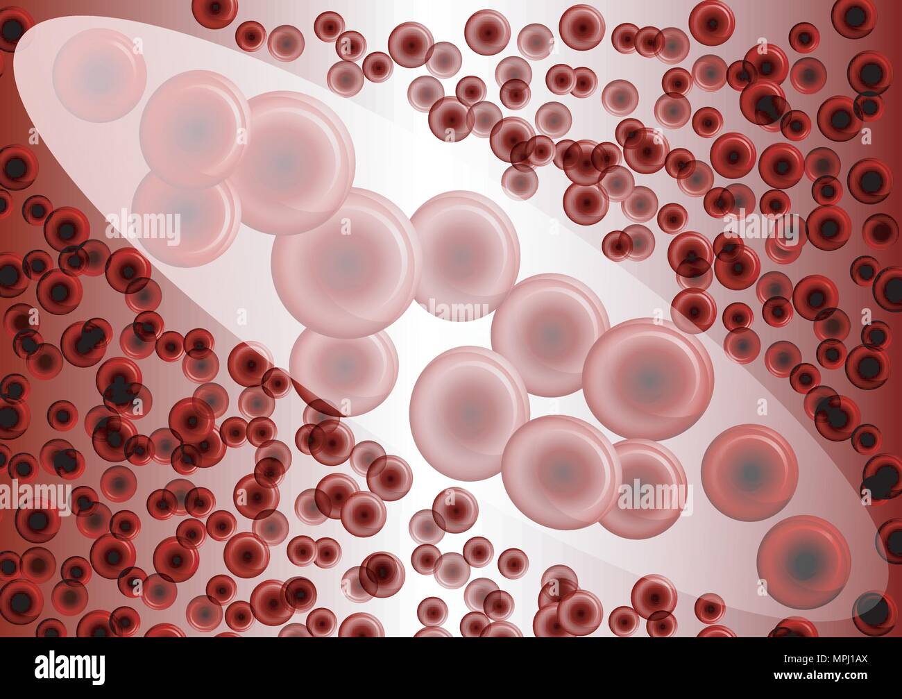 Illustrazione delle cellule rosse del sangue sotto ingrandimento Illustrazione Vettoriale