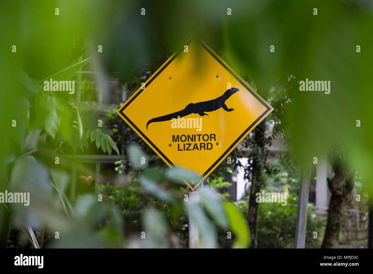 Schede di segno di avvertimento di varani sul campo da golf in un'esclusiva comunità gated al di fuori della Malaysia capitale Kuala Lumpur. Foto Stock