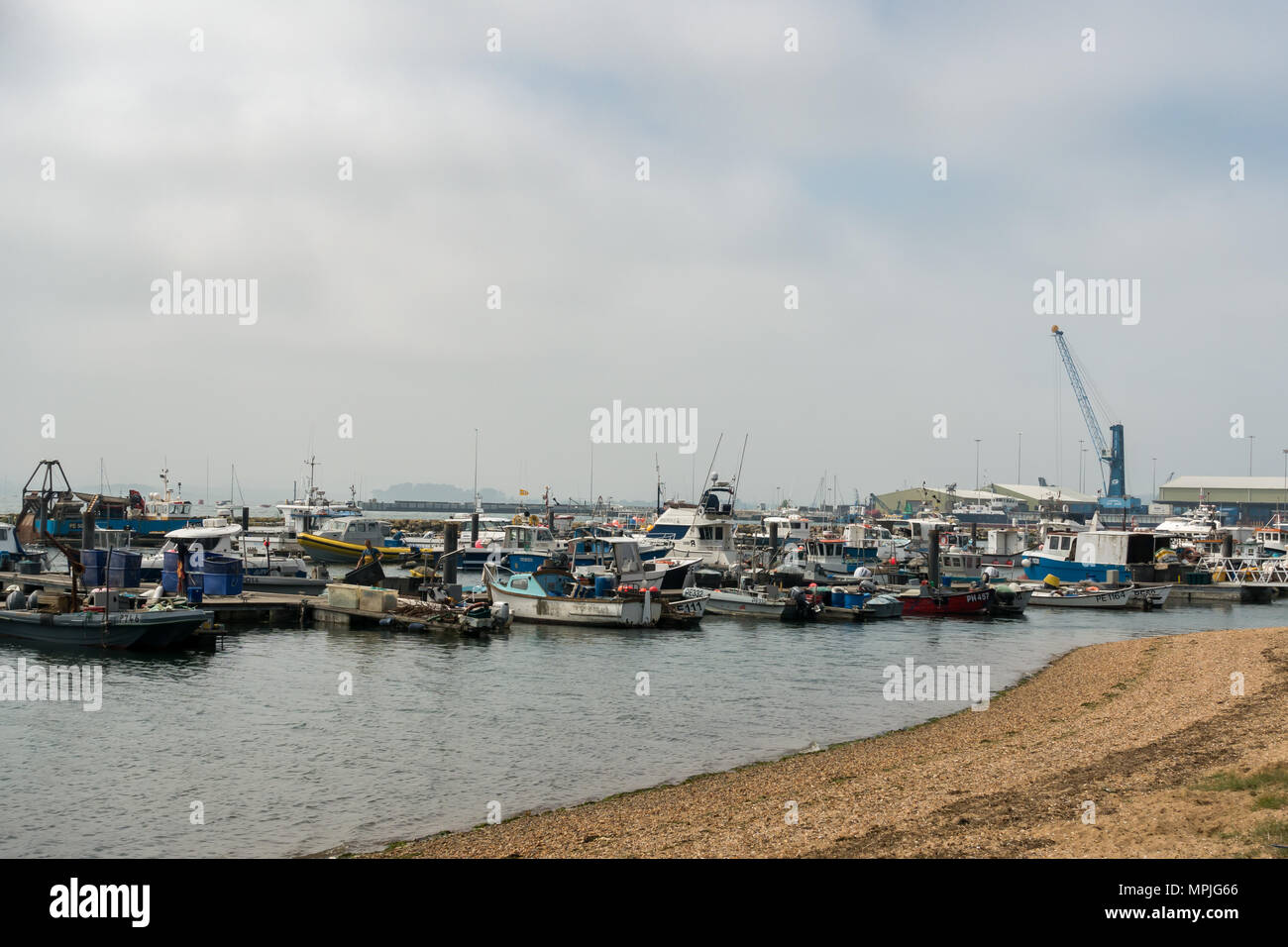 Vista del porto di Poole, Dorset, England Regno Unito Foto Stock