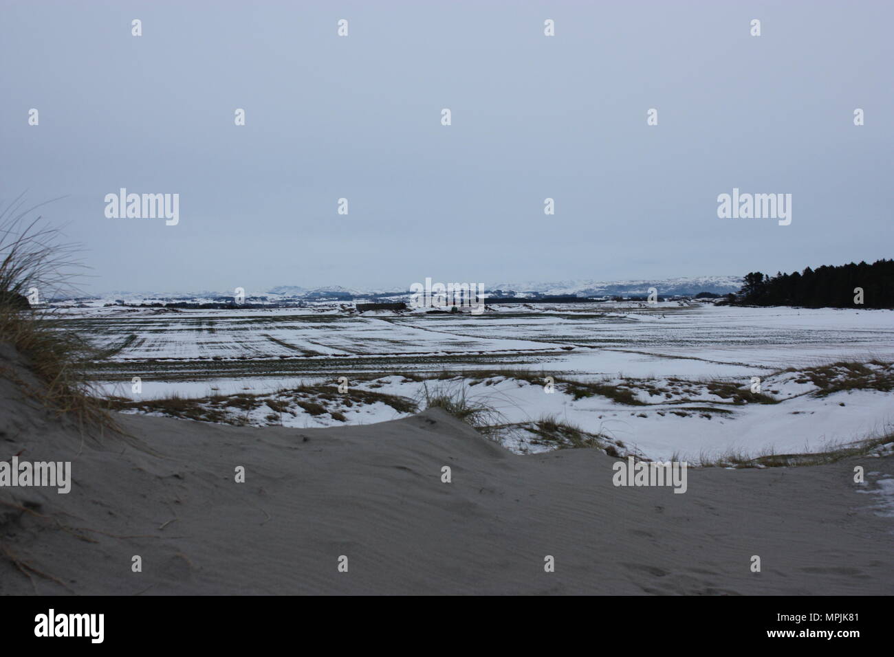 Congelati spiaggia norvegese Foto Stock