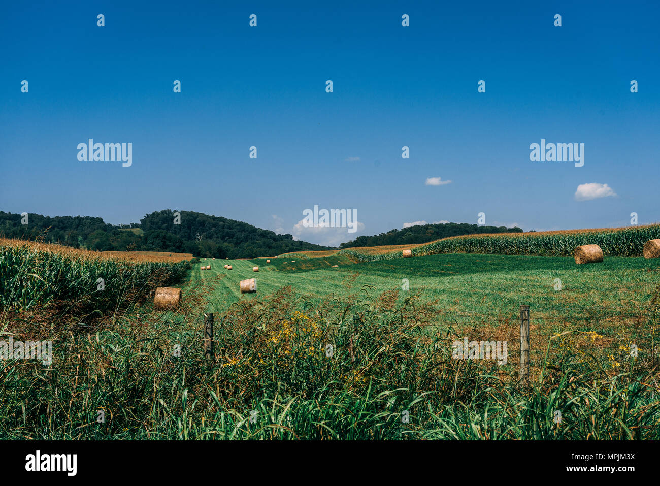 Guida di una motocicletta attraverso Indiana backroad Foto Stock