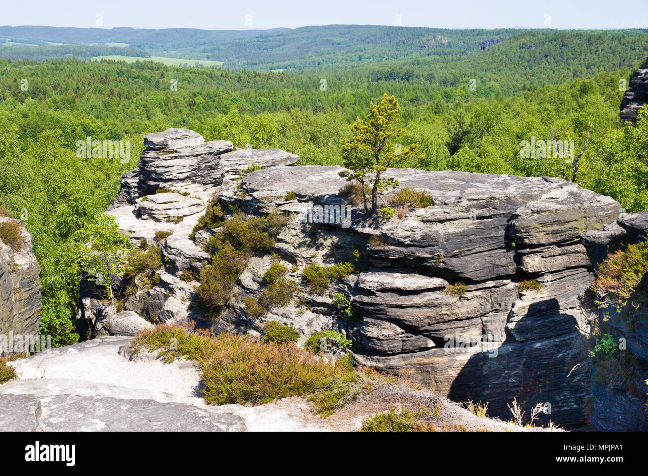 Tiské stěny, Labské pískovce, narodni park Ceske Svycarsko, Ceska republika / della Svizzera boema, Tisa città rocciose, pareti Tyssa, Boemia settentrionale, Czec Foto Stock