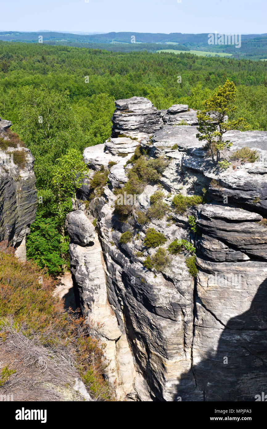 Tiské stěny, Labské pískovce, narodni park Ceske Svycarsko, Ceska republika / della Svizzera boema, Tisa città rocciose, pareti Tyssa, Boemia settentrionale, Czec Foto Stock