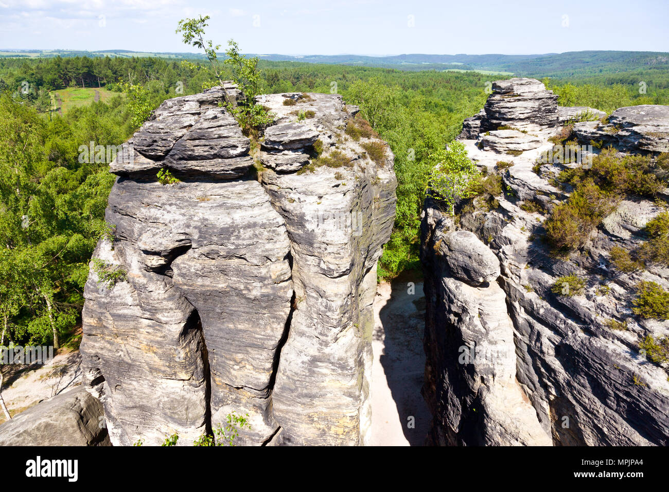 Tiské stěny, Labské pískovce, narodni park Ceske Svycarsko, Ceska republika / della Svizzera boema, Tisa città rocciose, pareti Tyssa, Boemia settentrionale, Czec Foto Stock