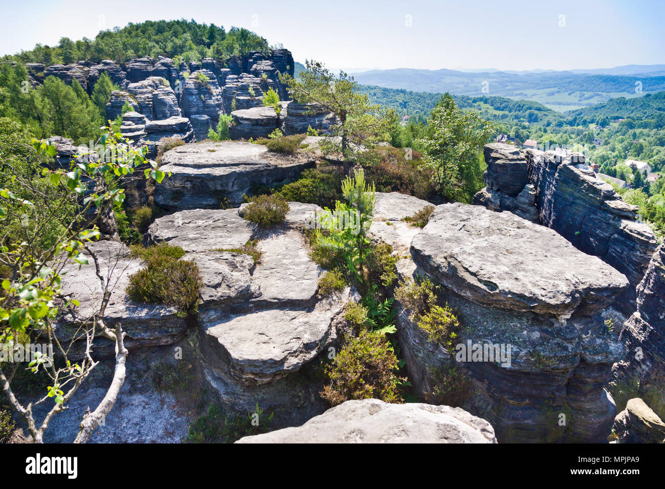 Tiské stěny, Labské pískovce, narodni park Ceske Svycarsko, Ceska republika / della Svizzera boema, Tisa città rocciose, pareti Tyssa, Boemia settentrionale, Czec Foto Stock