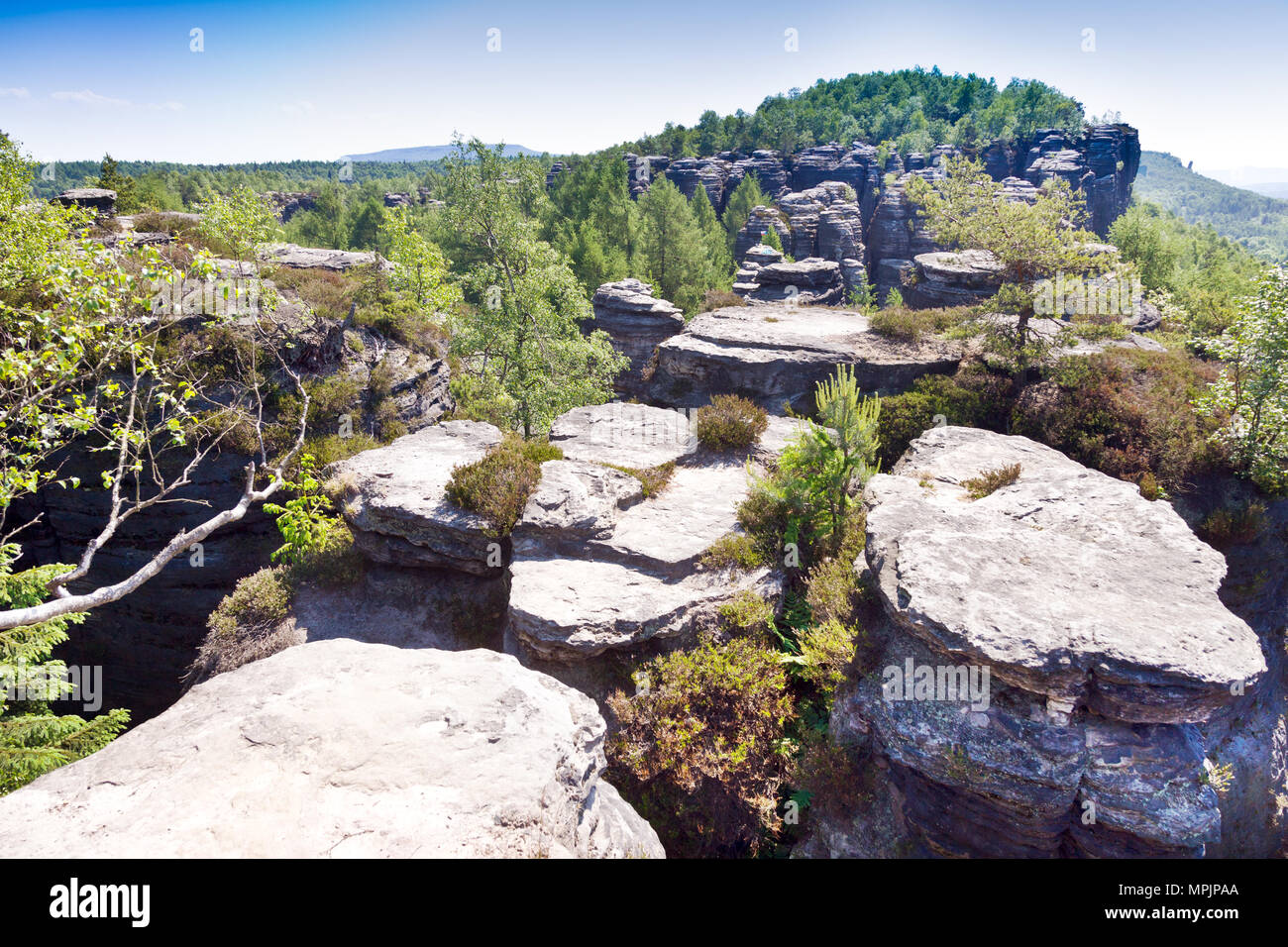 Tiské stěny, Labské pískovce, narodni park Ceske Svycarsko, Ceska republika / della Svizzera boema, Tisa città rocciose, pareti Tyssa, Boemia settentrionale, Czec Foto Stock