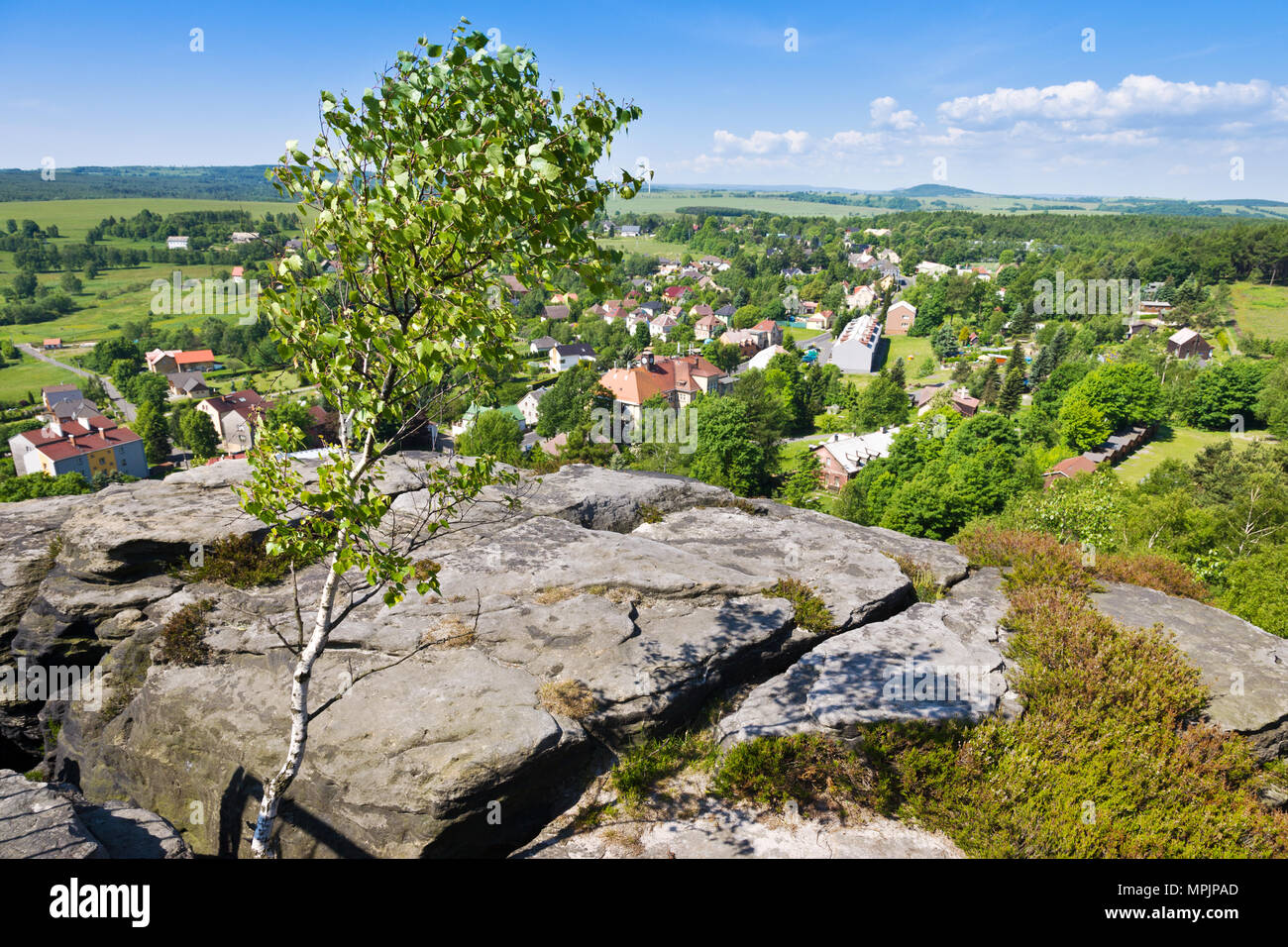 Tiské stěny, Labské pískovce, narodni park Ceske Svycarsko, Ceska republika / della Svizzera boema, Tisa città rocciose, pareti Tyssa, Boemia settentrionale, Czec Foto Stock