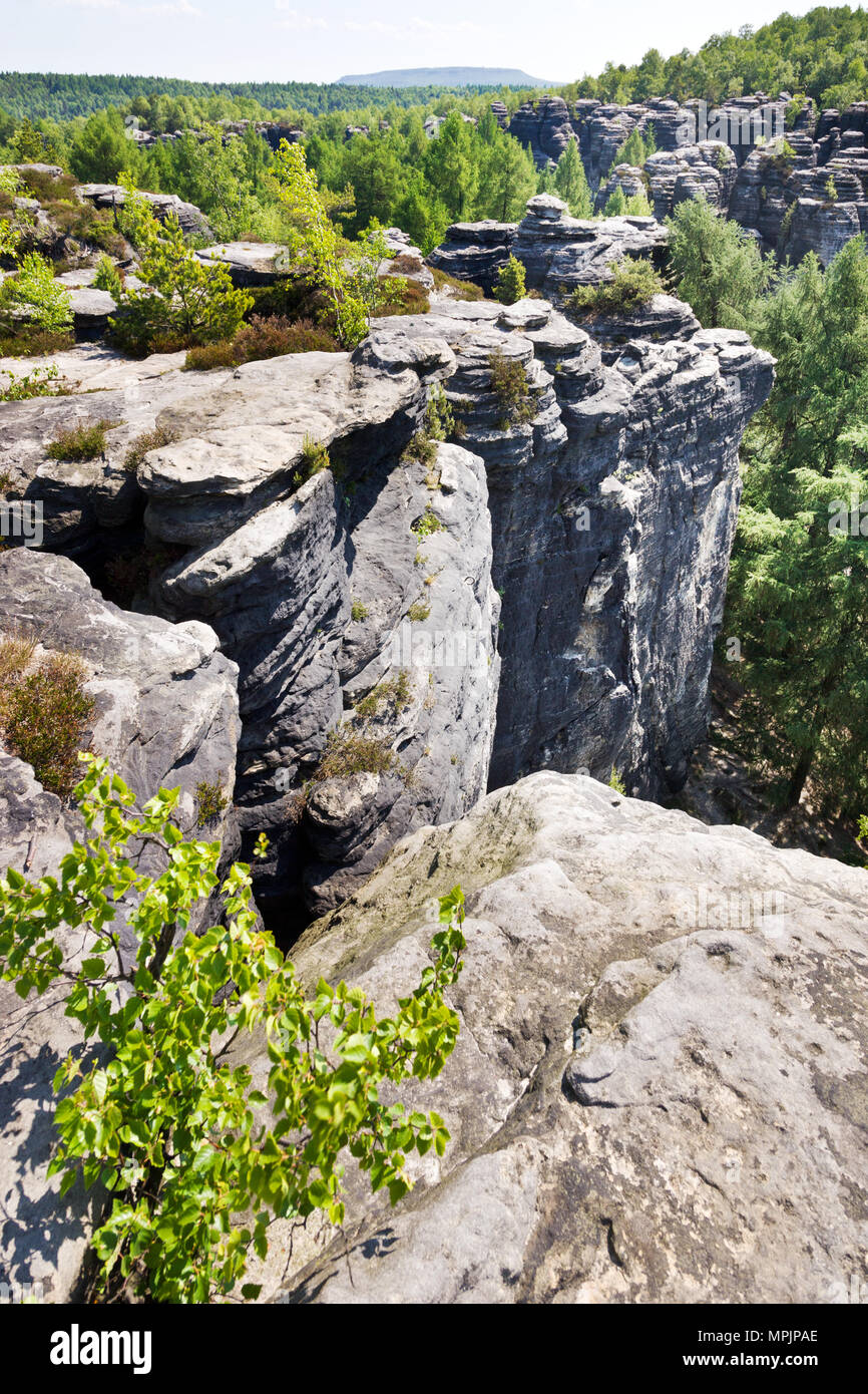 Tiské stěny, Labské pískovce, narodni park Ceske Svycarsko, Ceska republika / della Svizzera boema, Tisa città rocciose, pareti Tyssa, Boemia settentrionale, Czec Foto Stock