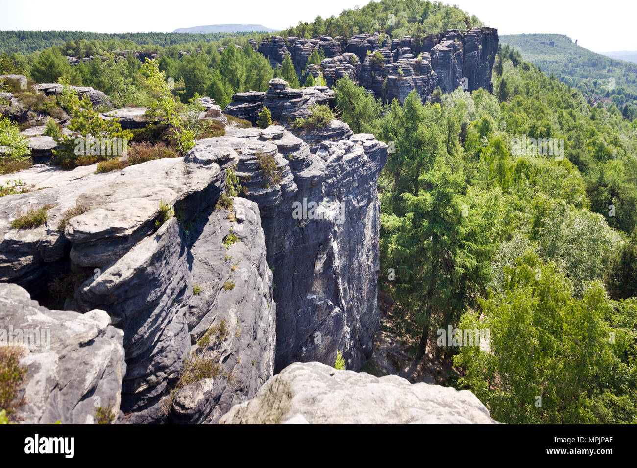 Tiské stěny, Labské pískovce, narodni park Ceske Svycarsko, Ceska republika / della Svizzera boema, Tisa città rocciose, pareti Tyssa, Boemia settentrionale, Czec Foto Stock