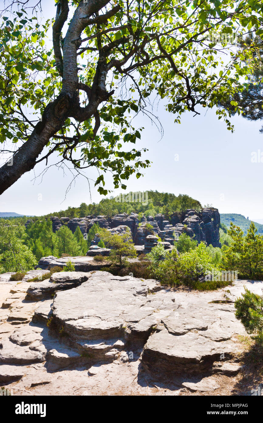 Tiské stěny, Labské pískovce, narodni park Ceske Svycarsko, Ceska republika / della Svizzera boema, Tisa città rocciose, pareti Tyssa, Boemia settentrionale, Czec Foto Stock