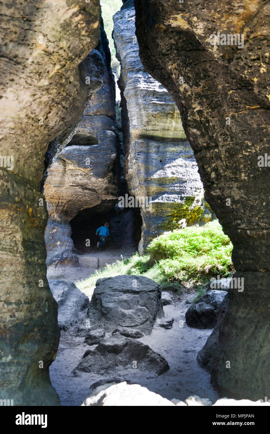 Tiské stěny, Labské pískovce, narodni park Ceske Svycarsko, Ceska republika / della Svizzera boema, Tisa città rocciose, pareti Tyssa, Boemia settentrionale, Czec Foto Stock