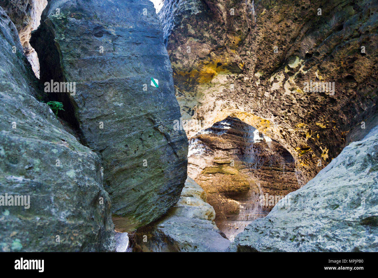 Tiské stěny, Labské pískovce, narodni park Ceske Svycarsko, Ceska republika / della Svizzera boema, Tisa città rocciose, pareti Tyssa, Boemia settentrionale, Czec Foto Stock