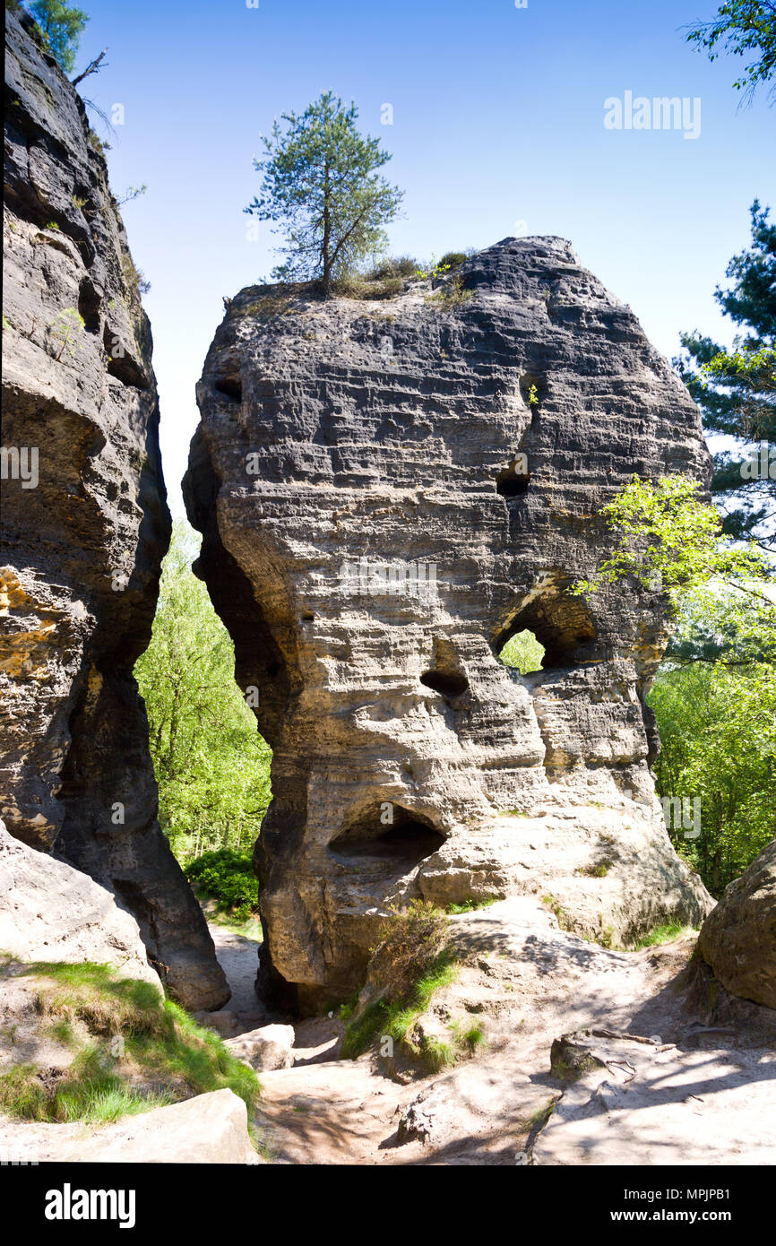 Tiské stěny, Labské pískovce, narodni park Ceske Svycarsko, Ceska republika / della Svizzera boema, Tisa città rocciose, pareti Tyssa, Boemia settentrionale, Czec Foto Stock