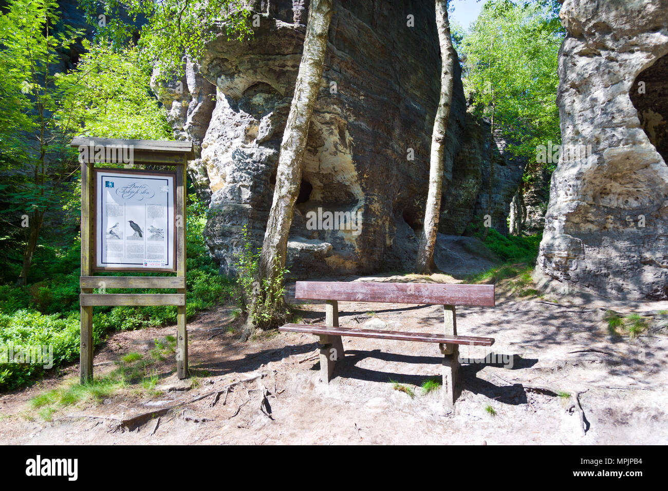 Tiské stěny, Labské pískovce, narodni park Ceske Svycarsko, Ceska republika / della Svizzera boema, Tisa città rocciose, pareti Tyssa, Boemia settentrionale, Czec Foto Stock